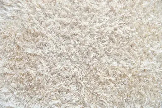 Carpet Cleaning in Truganina